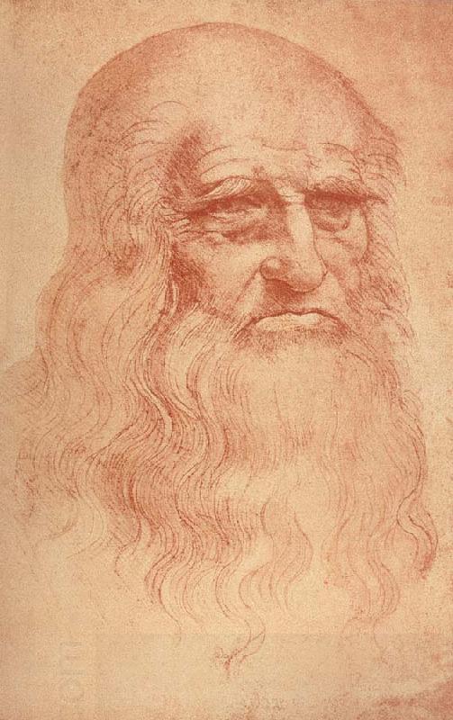 LEONARDO da Vinci Self Portrait oil painting picture